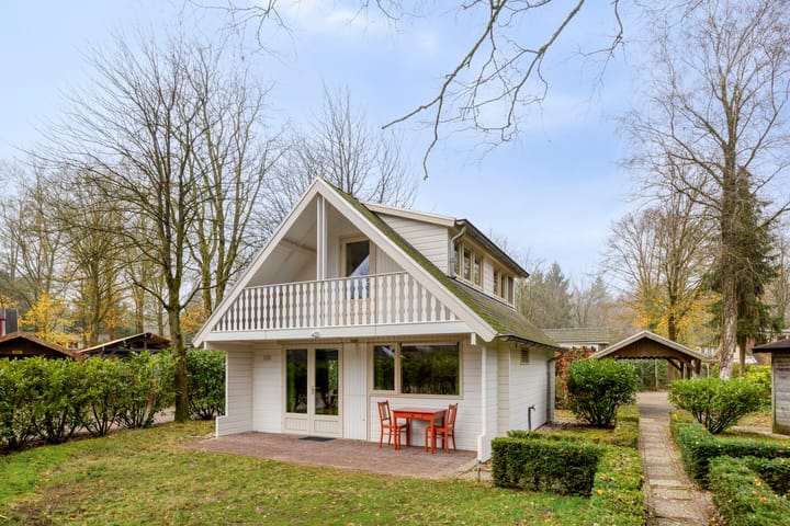 Hyacinth 135 in Vinkel foto