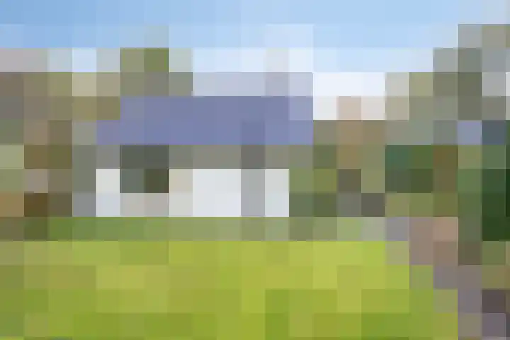 Hyacinth 94 Vinkel thumbnail 22