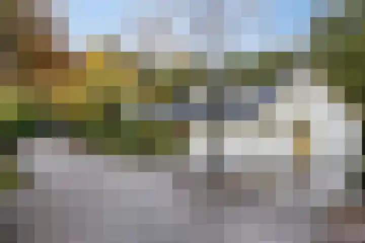 Hyacinth 94 Vinkel thumbnail 23
