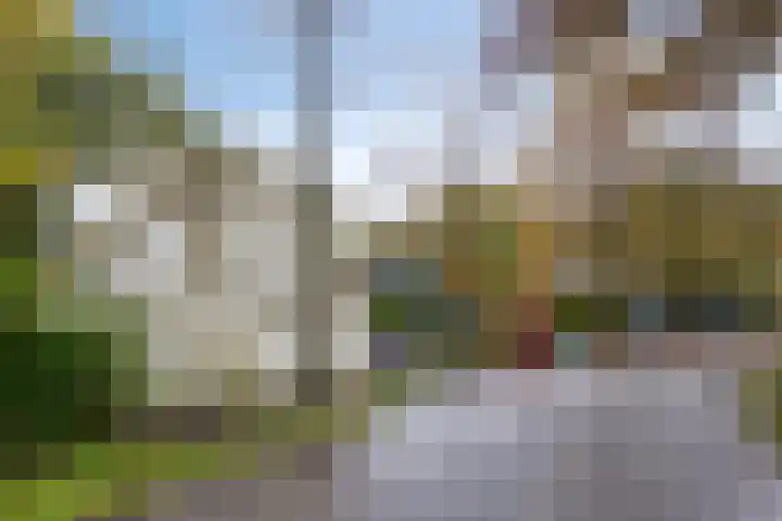 Hyacinth 94 Vinkel thumbnail 24