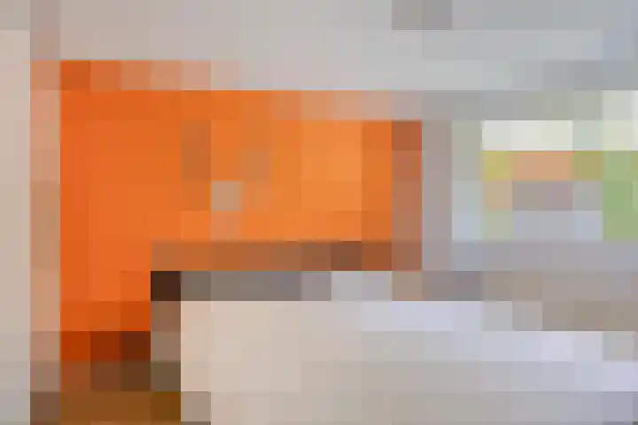 Hyacinth 94 Vinkel thumbnail 9
