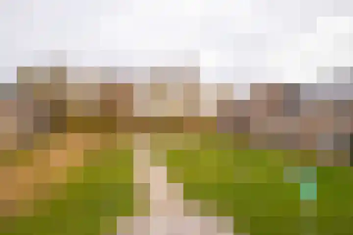 Hydrofoor 35 Zevenaar thumbnail 6