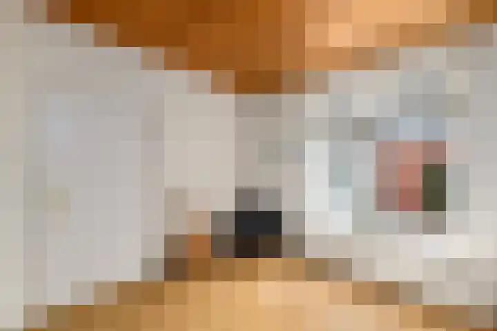 Hynstewaed 2 Stiens thumbnail 11
