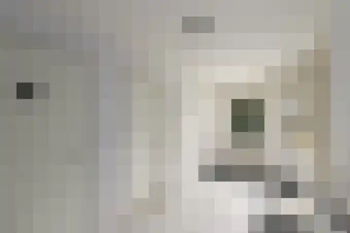 Hynstewaed 2 Stiens thumbnail 15