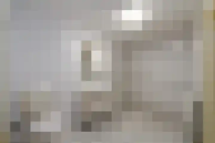 Hynstewaed 2 Stiens thumbnail 19