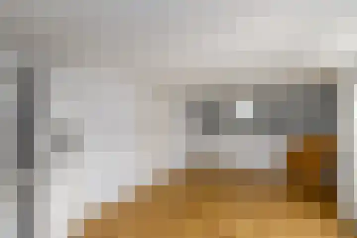 Hynstewaed 2 Stiens thumbnail 27