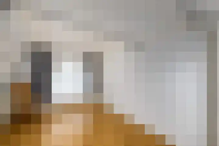 Hynstewaed 2 Stiens thumbnail 29