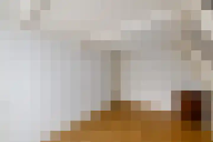 Hynstewaed 2 Stiens thumbnail 30