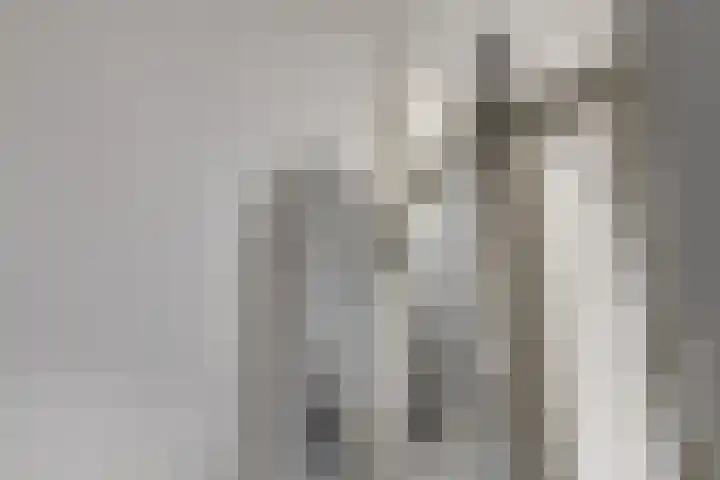 Hynstewaed 2 Stiens thumbnail 31