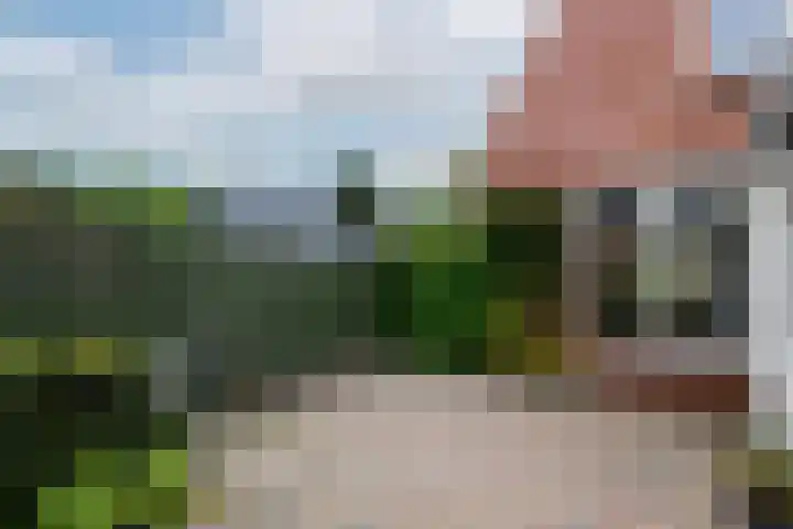 Hynstewaed 2 Stiens thumbnail 33
