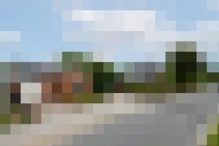 Hynstewaed 2 Stiens thumbnail 36