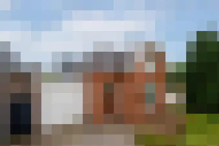 Hynstewaed 2 Stiens thumbnail 37