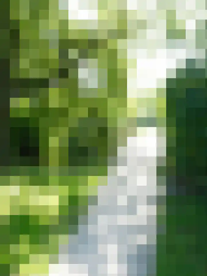 Hynstewaed 2 Stiens thumbnail 40
