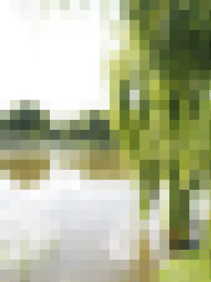 Hynstewaed 2 Stiens thumbnail 41