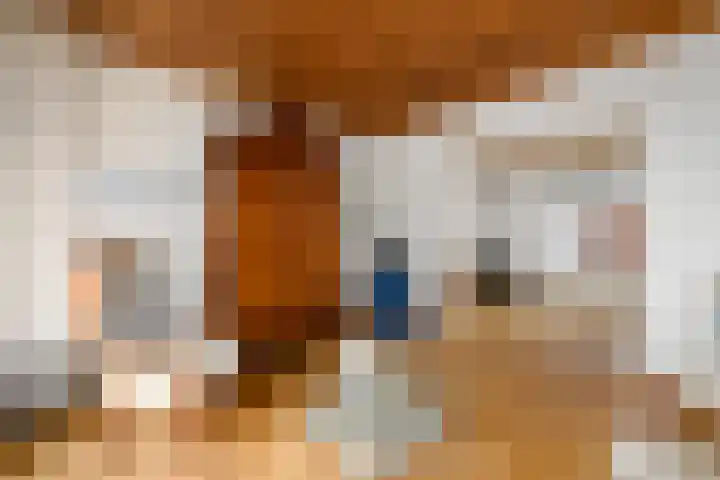 Hynstewaed 2 Stiens thumbnail 7