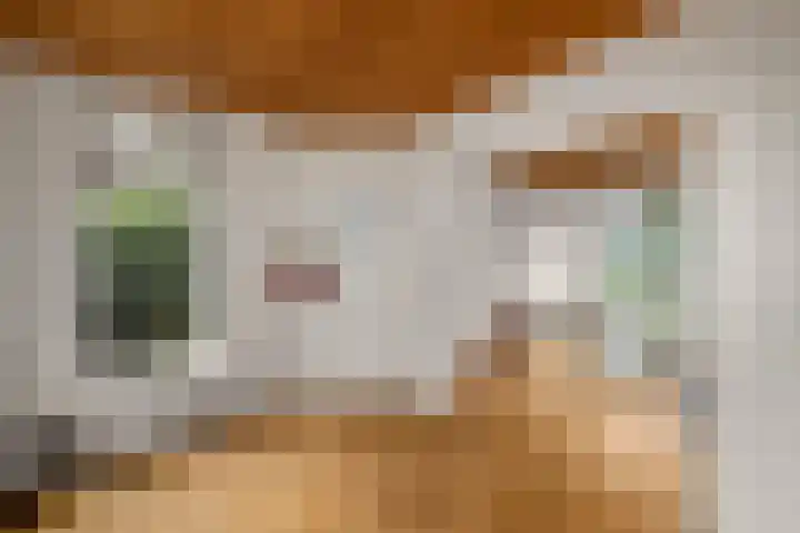 Hynstewaed 2 Stiens thumbnail 9
