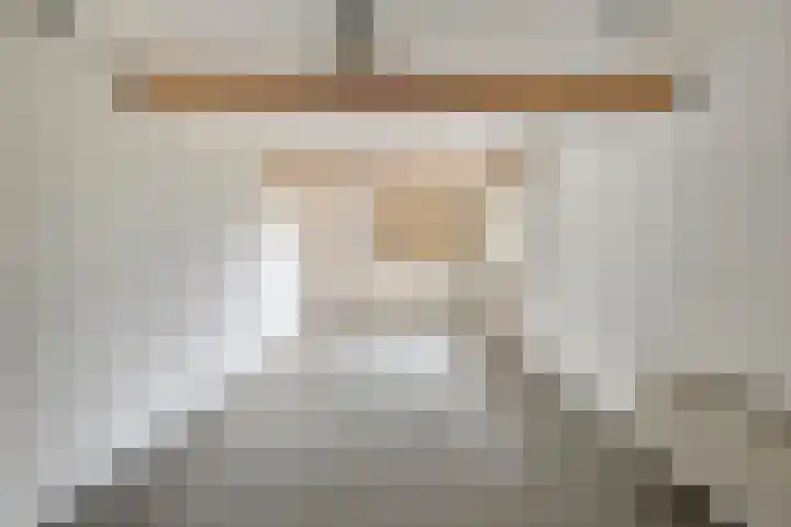 Logo van Hypodomus Maastricht Lap &amp; Pletsers