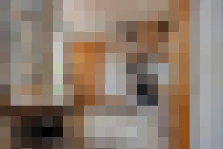 Icaruslaan 22 Eindhoven thumbnail 15