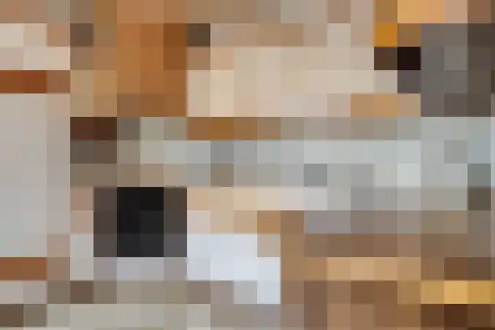 Icaruslaan 22 Eindhoven thumbnail 16