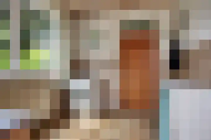 Icaruslaan 22 Eindhoven thumbnail 18