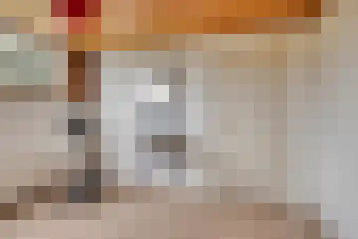 Icaruslaan 22 Eindhoven thumbnail 32