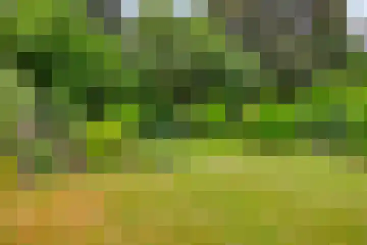 Icaruslaan 22 Eindhoven thumbnail 34