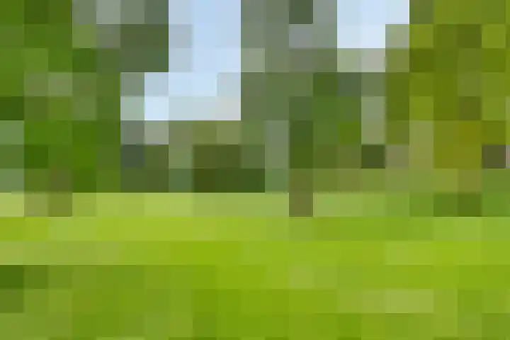 Icaruslaan 22 Eindhoven thumbnail 39