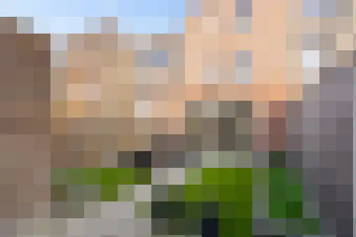 Icarusstraat 17 Almere thumbnail 45