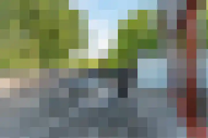 Icarusweg 39 Delft thumbnail 20
