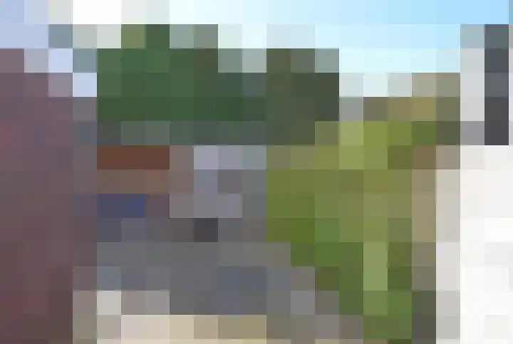 Idsingha 9 Feanwâlden thumbnail 10