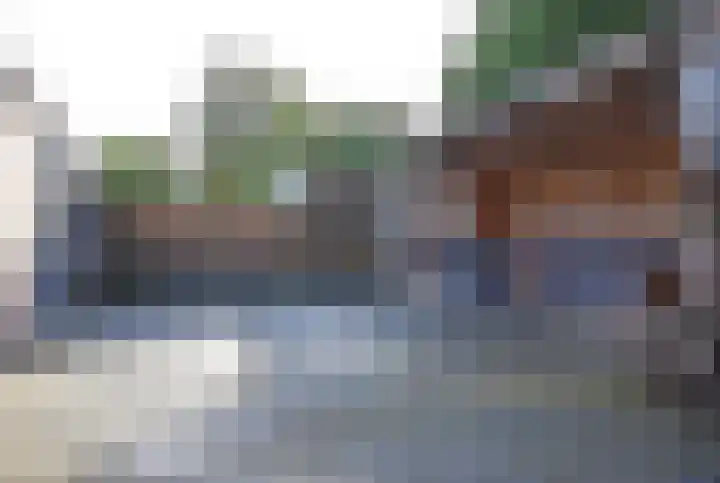 Idsingha 9 Feanwâlden thumbnail 11