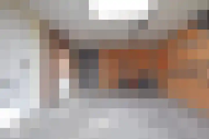 Idsingha 9 Feanwâlden thumbnail 28