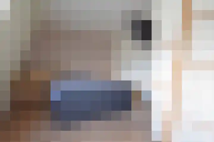Idsingha 9 Feanwâlden thumbnail 36