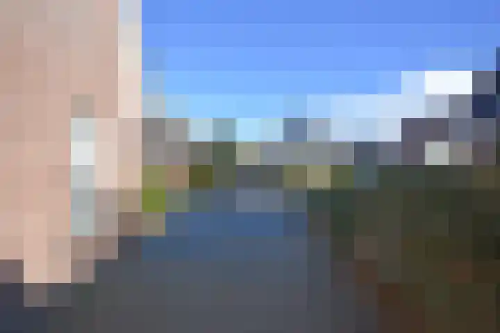 Idsingha 9 Feanwâlden thumbnail 4
