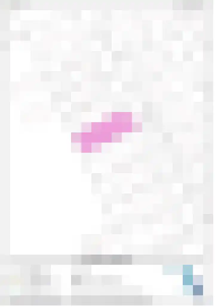 Idsingha 9 Feanwâlden thumbnail 47