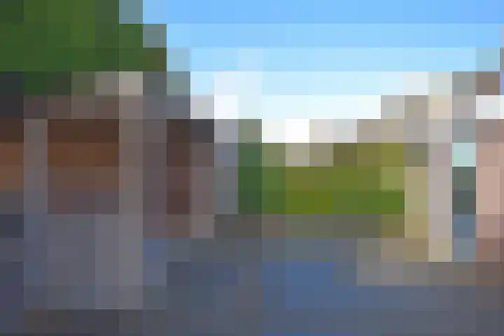 Idsingha 9 Feanwâlden thumbnail 7