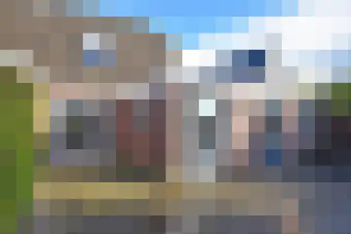 Idsingha 9 Feanwâlden thumbnail 9