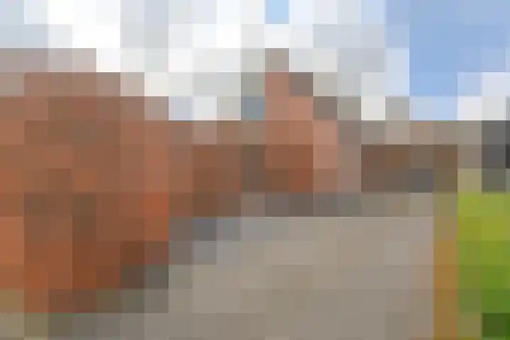 Iebeern 1 dans Odoorn