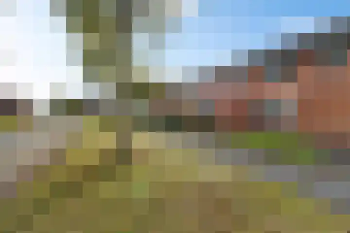 Iemkerpad 14 Emmen thumbnail 19