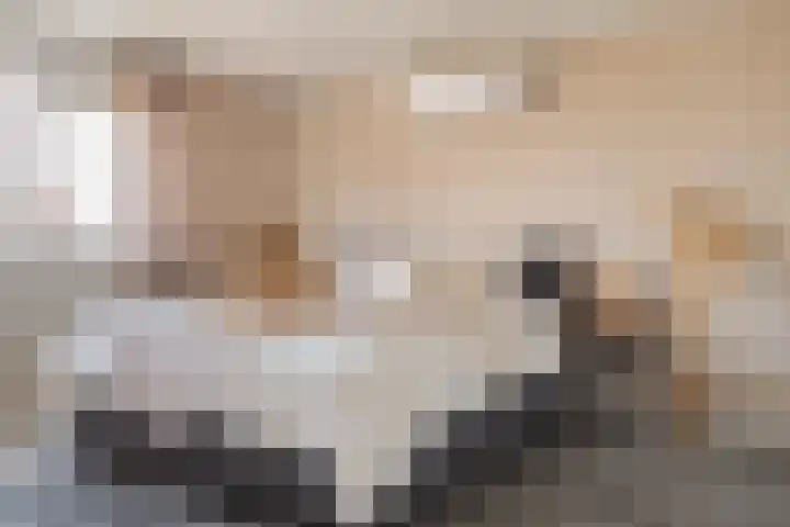 Iemschoer 9 Emmen thumbnail 25