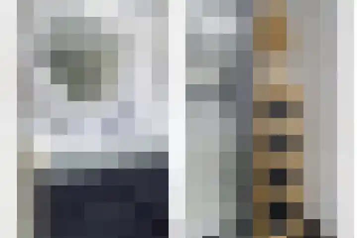 Iemschoer 9 Emmen thumbnail 33