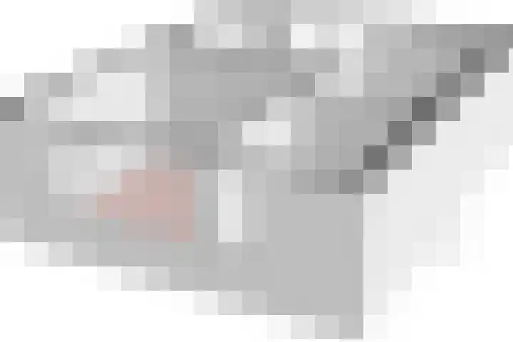 Iemschoer 9 Emmen thumbnail 45