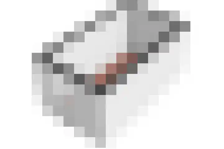 Iemschoer 9 Emmen thumbnail 49