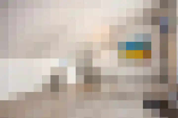Ien Dalessingel 193 Zutphen thumbnail 24