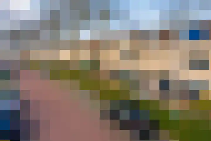 Ien Dalessingel 193 Zutphen thumbnail 29