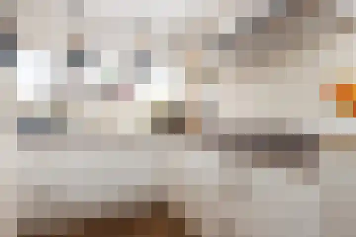 Ien Dalessingel 235 Zutphen thumbnail 14
