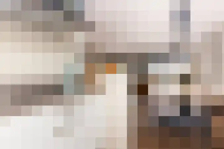 Ien Dalessingel 235 Zutphen thumbnail 15
