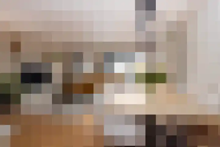 Ien Dalessingel 235 Zutphen thumbnail 16