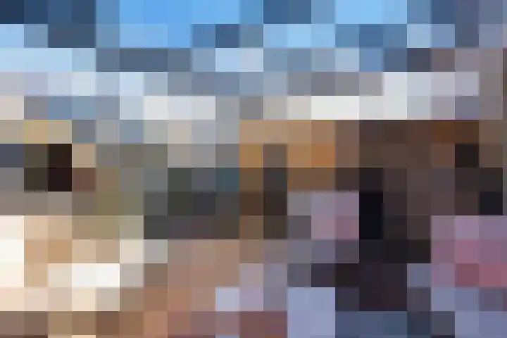 Ien Dalessingel 235 Zutphen thumbnail 18