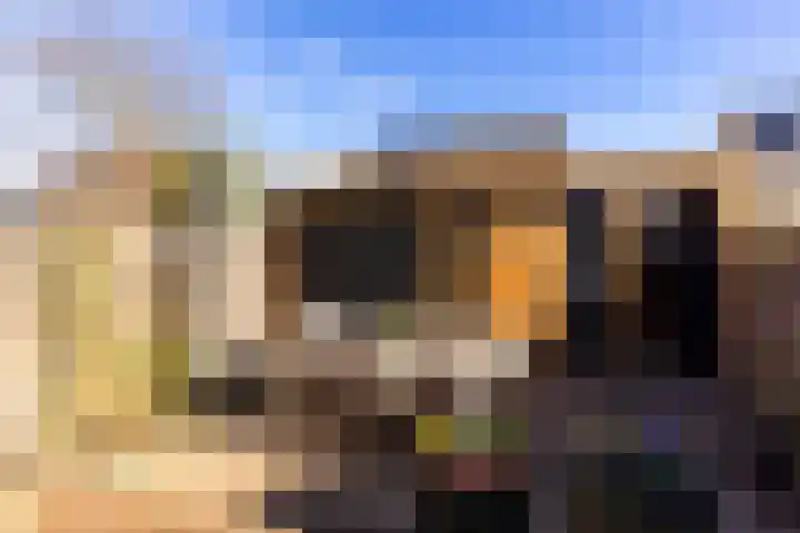 Ien Dalessingel 235 Zutphen thumbnail 19